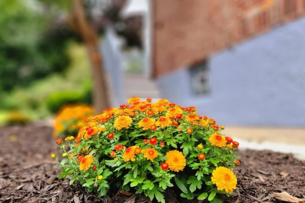 Unique & Peaceful Boston Home ภายนอก รูปภาพ